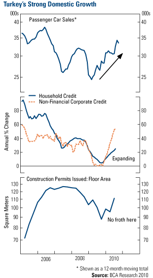 Turkey's Strong Domestic Growth