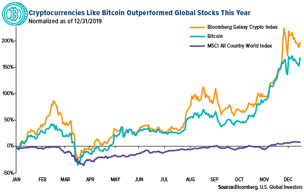 Cryptocurrencies like bitcoin outperformed global stocks this year