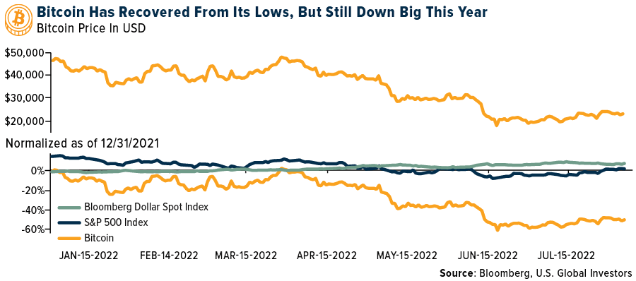 Bitcoin has recovered from its lows