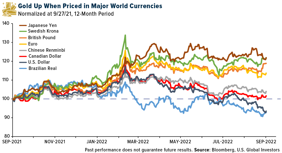 Gold-up-when-priced-in-world-currencies
